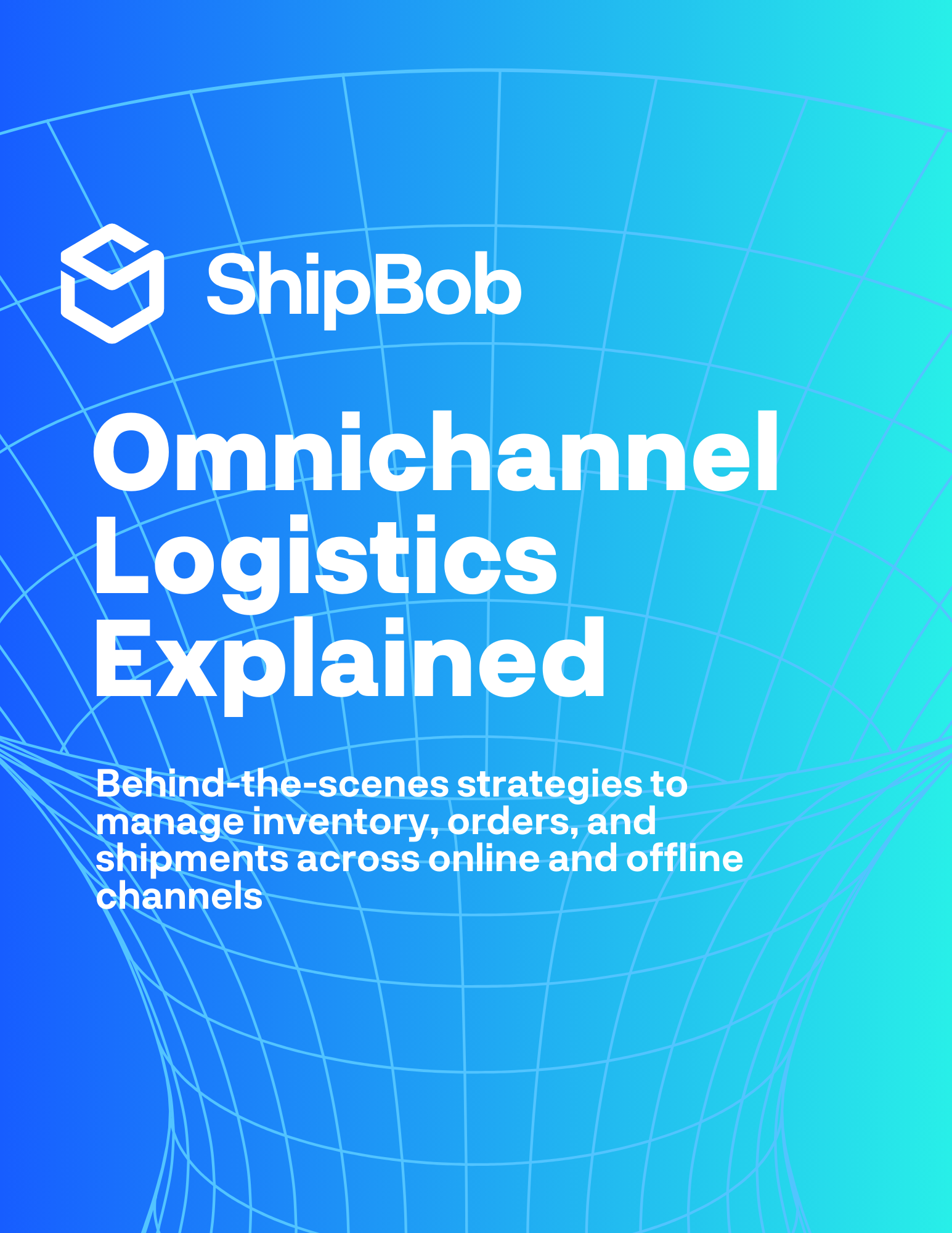 Omnichannel Logistics Explained Guide